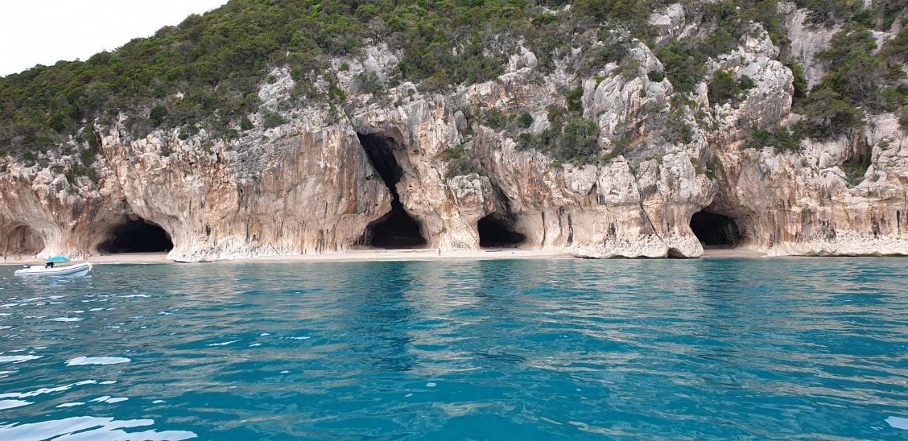 B&B Cala Luna Cala Gonone Eksteriør billede