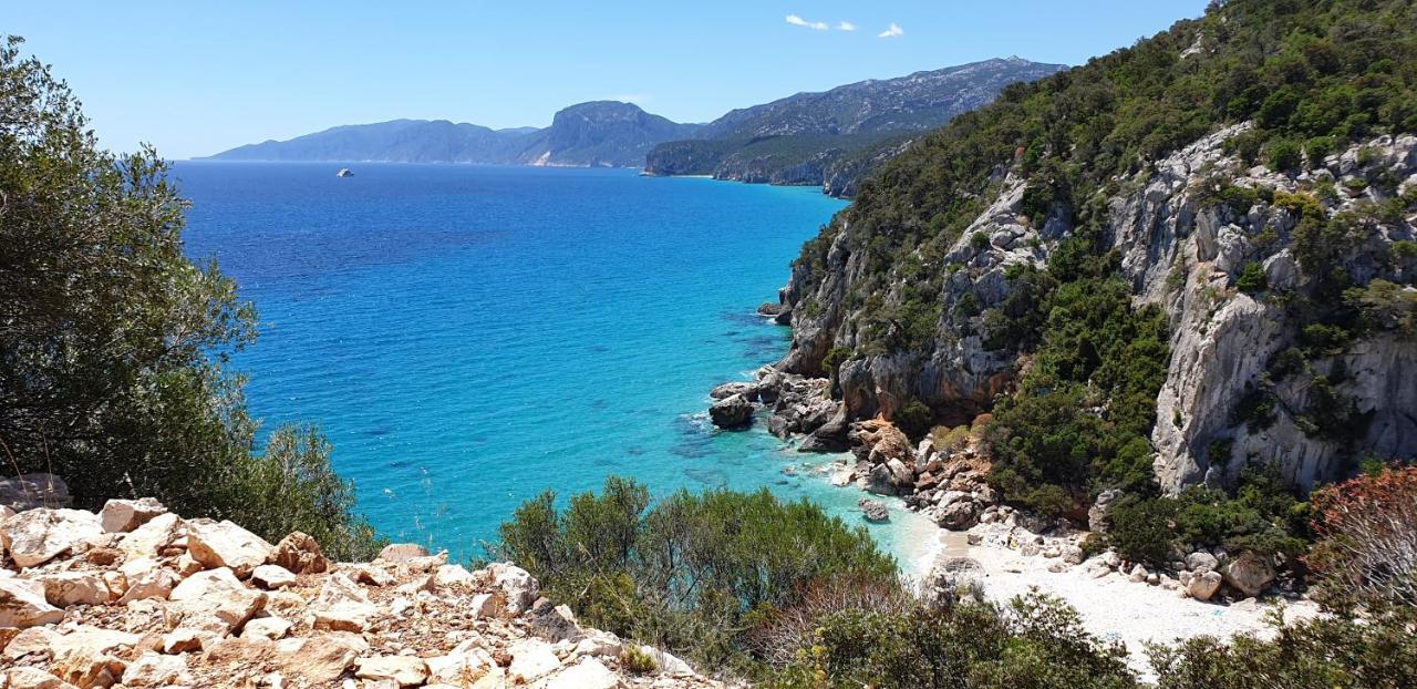 B&B Cala Luna Cala Gonone Eksteriør billede